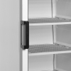 Шкаф морозильный TEFCOLD UFFS371G